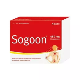 SOGOON 480 mg tabletki powlekane, 100 szt