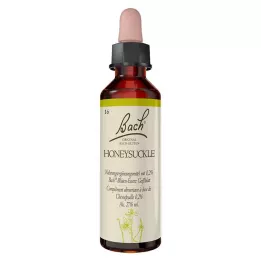 BACHBLÜTEN Krople z wiciokrzewu 20 ml