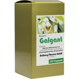 GALGANT Kapseln, 120 szt