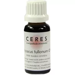 CERES Dipsacus pełny typ, 20 ml