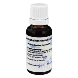 CAULOPHYLLUM d 6 rozcieńczenie, 20 ml