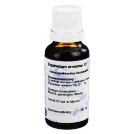 EQUISETUM d 1 rozcieńczenie, 20 ml