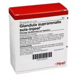 GLANDULA SUPRARENALIS SUIS ENCUNEEL AMPOULES, 10 szt