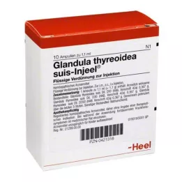 GLANDULA THYREOIDEA SUIS ENCUNEEL AMPOULES, 10 szt