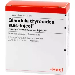 GLANDULA THYREOIDEA SUIS ENCUNEEL AMPOULES, 100 szt