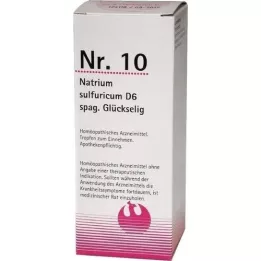 NR.10 Sulfuricum D 6 Spag