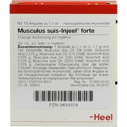 MUSCULUS SUIS Ampules Forte inceel, 10 szt
