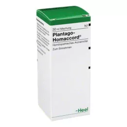 PLANTAGO HOMACCORD Krople 30 ml