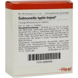 SALMONELLA TYPHI Ampuls Insuleel, 10 szt