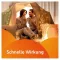 VOLTAREN Dolo 25 mg tabletki powlekane, 20 szt
