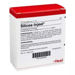 SILICEA INJEEL ampules, 10 szt