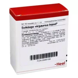 SOLIDAGO VIRGAUREA INJEEL ampules, 10 szt