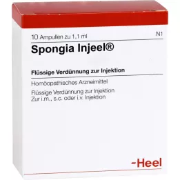 Spongia Inn, 10 szt