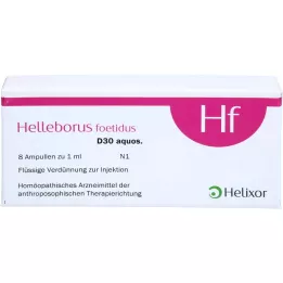 HELLEBORUS FOETIDUS Aquos