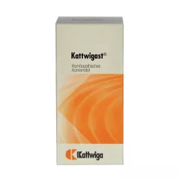KATTWIGAST tabletki, 100 szt