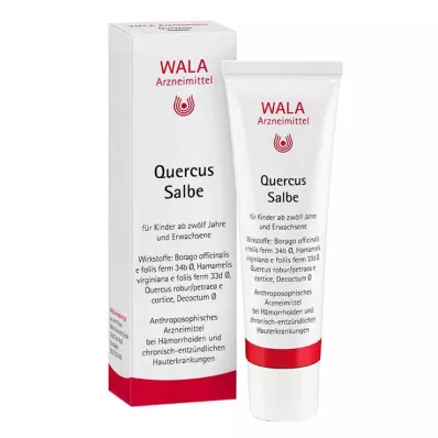 QUERCUS MAŚĆ 30 g QUERCUS MAŚĆ 30 g