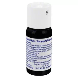 ABSINTHIUM/CARYOPHYLLI mieszanka komp., 50 ml