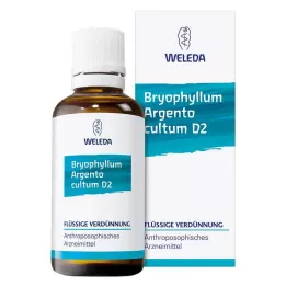 BRYOPHYLLUM ARGENTO cultum D 2 Rozcieńczenie, 50 ml