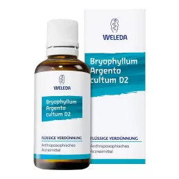 BRYOPHYLLUM ARGENTO cultum D 3 Rozcieńczenie, 50 ml