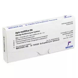 APIS MELLIFICA D 6 ampułek, 8 szt