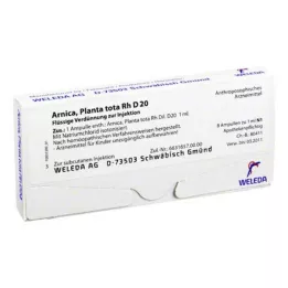 ARNICA PLANTA całkowity Rh D 20 ampułek, 8X1 ml