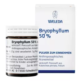 BRYOPHYLLUM 50% proszek do stosowania doustnego, 50 g