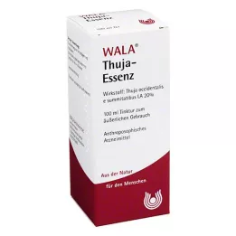 THUJA ESENCJA, 100 ml