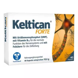 KELTICAN kapsułki forte 40 szt