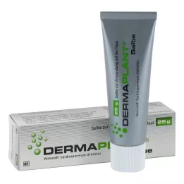 DERMAPLANT Maść 25 g