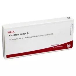 CEREBRUM COMP.Ampułki A 10X1 ml
