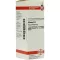 SILICEA D 8 Rozcieńczenie, 20 ml