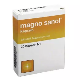 MAGNO SANOL kapsułki 20 szt