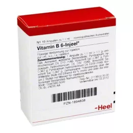 VITAMIN B6 INJEEL ampułki 10 szt