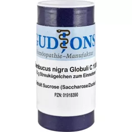 SAMBUCUS NIGRA C 1000 jednodawkowe globulki, 0,5 g