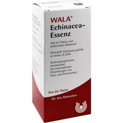 ECHINACEA ESENCJA, 100 ml
