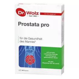 PROSTATA PRO Kapsułki Dr.Wolz 2X20 szt