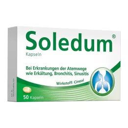 SOLEDUM 100 mg kapsułki dojelitowe, 50 szt