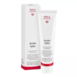 ARNIKA MAŚĆ, 100 g