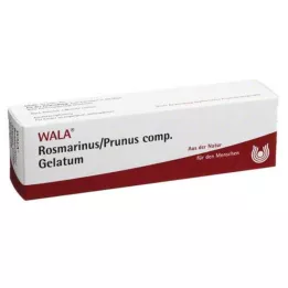 ROSMARINUS/PRUNUS komp.Żel, 30 g
