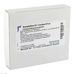 BRYOPHYLLUM D 5/Conchae D 7 ampuli, 5x10 ml