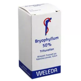 BRYOPHYLLUM 50% proszek do stosowania doustnego, 20 g