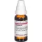 BAPTISIA D 2 Rozcieńczenie, 20 ml