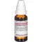 EQUISETUM ARV D 2, 20 ml