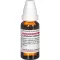 LATRODECTUS mactans D 8 Rozcieńczenie, 20 ml