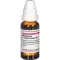 MANDRAGORA E radice siccata D 6 Rozcieńczenie, 20 ml