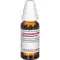 RHODODENDRON D 12 Rozcieńczenie, 20 ml