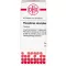 PHOSPHORUS AMORPHUS D 8 tabletek, 80 szt
