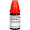 CAPSICUM LM VI Rozcieńczenie 10 ml