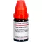 HYPERICUM LM XII Rozcieńczenie 10 ml