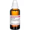 Berberis D30, 50 ml